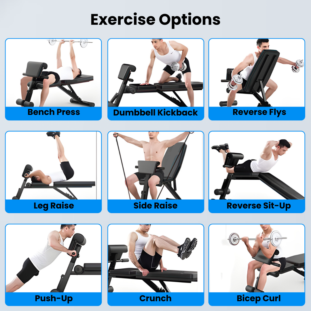 Apex weight bench with bicep pad